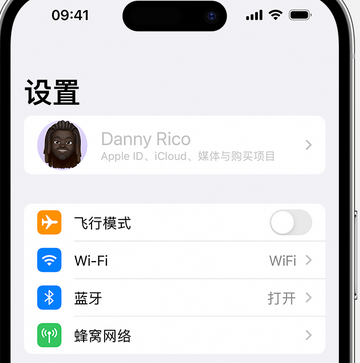 石河镇appleID维修服务iPhone设置中Apple ID显示为灰色无法使用 