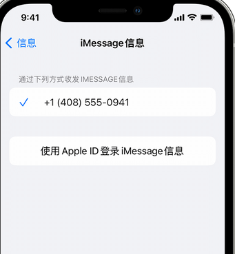 石河镇apple维修iPhone上无法正常发送iMessage信息 