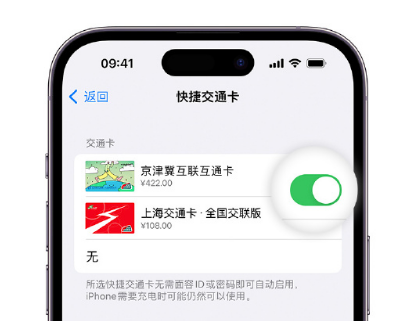 石河镇apple维修点分享iPhone上更换Apple Pay快捷交通卡手绘卡面 