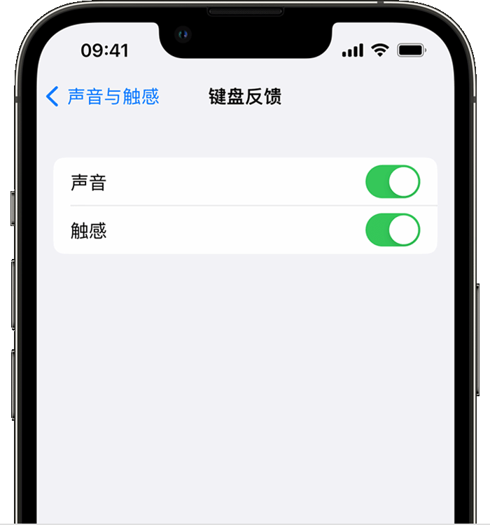 石河镇苹果14维修店分享如何在 iPhone 14 机型中使用触感键盘 