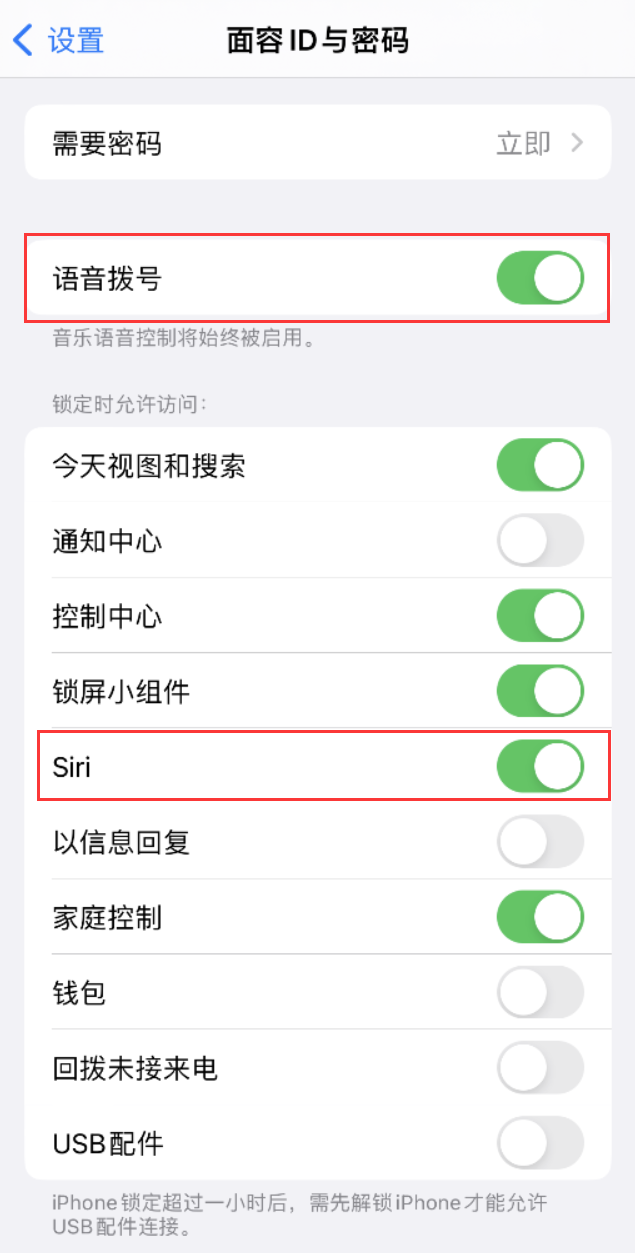 石河镇苹果维修网点分享不解锁 iPhone 的情况下通过 Siri 拨打电话的方法 