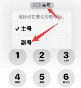 石河镇苹果14维修店分享iPhone 14 Pro Max使用副卡打电话的方法 