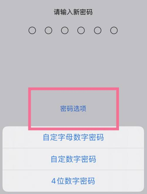 石河镇苹果14维修分享iPhone 14plus设置密码的方法 