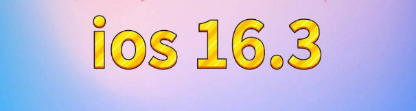 石河镇苹果服务网点分享苹果iOS16.3升级反馈汇总 