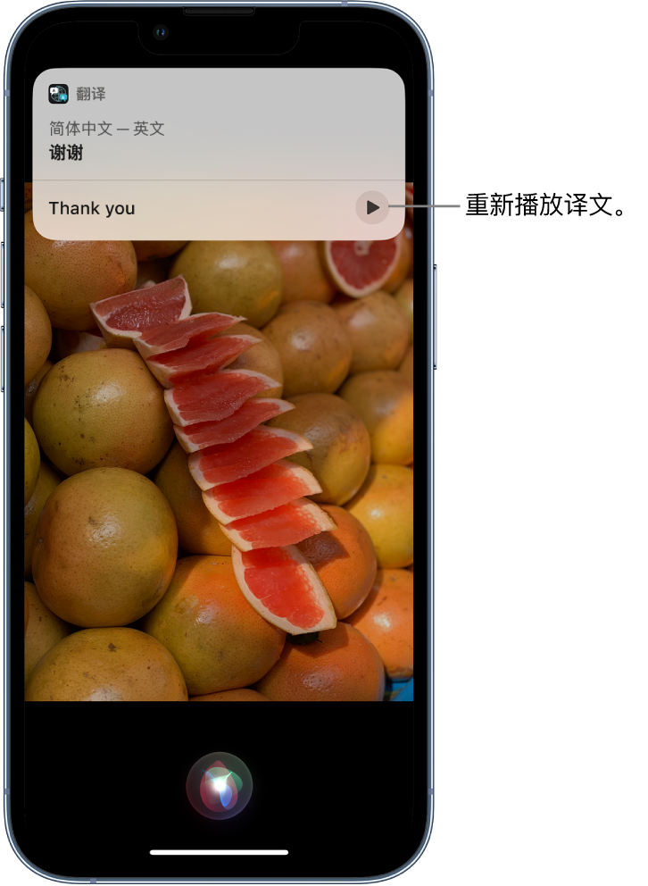 石河镇苹果14维修分享 iPhone 14 机型中使用 Siri：了解 Siri 能帮你做什么 