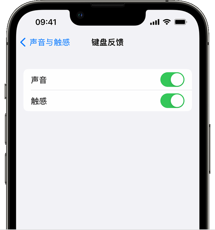 石河镇苹果14维修分享iPhone 14 系列机型如何开启键盘声音或触感反馈 