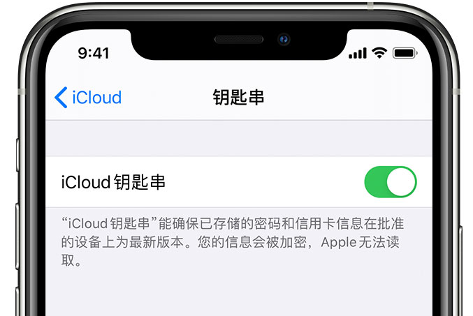 石河镇苹果手机维修分享在 iPhone 上开启 iCloud 钥匙串之后会储存哪些信息 