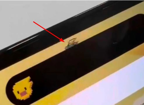 石河镇苹果14维修分享iPhone 14 Pro Max灵动岛怎么养宠物 