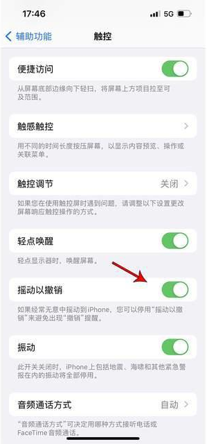 石河镇苹果手机维修分享iPhone手机如何设置摇一摇删除文字 